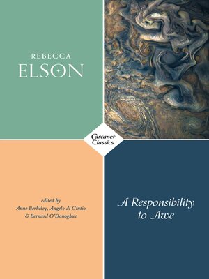 cover image of A Responsibility to Awe